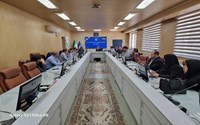 برگزاری اولین کارگروه پیشگیری از قاچاق کالاهای سلامت محور
