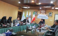 برگزاری نشست مشترک معاونت غذا و دارو و نمایندگان اداره کل استاندارد