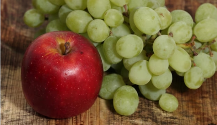 صدور 135 گواهی بهداشتی صادرات سیب و انگور به کشور روسیه در حوزه غذا